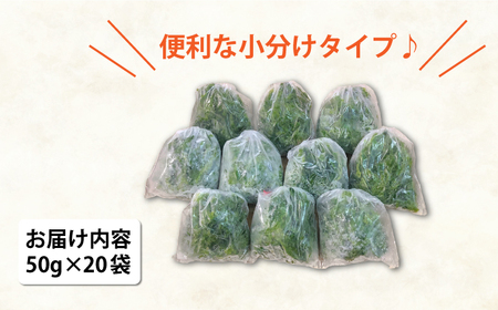 冷凍生あおさ50g×20袋 計1.0kg[RBN008] あおさ アオサ あおさ アオサ あおさ アオサ あおさ アオサ あおさ アオサ あおさ アオサ あおさ アオサ九州 長崎