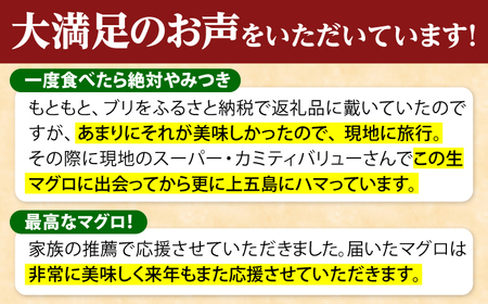 五島列島産養殖生本かみマグロ 赤身300g マグロ まぐろ 鮪 刺身 [RBP001] 本マグロ 本まぐろ 本マグロ 本まぐろ 本マグロ 本まぐろ 本マグロ 本まぐろ 本マグロ 本まぐろ九州 長崎