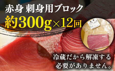 【全12回定期便】五島列島産養殖生本かみマグロ 赤身 300g [RBP025] マグロ マグロ マグロ マグロ まぐろ九州 長崎