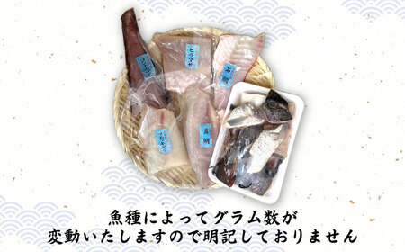 五島列島鮮魚ボックス5種[RBR002] 鮮魚 鮮魚セット 魚 鮮魚 鮮魚セット 魚 鮮魚 鮮魚セット 魚 鮮魚 鮮魚セット 魚 鮮魚 鮮魚セット 魚九州 長崎