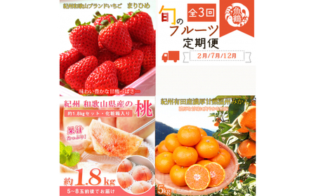 【全3回】紀州和歌山産旬のフルーツ定期便 (いちご・桃・有田みかん)  / フルーツ くだもの 定期便 果物定期便 フルーツ定期便 和歌山 苺 桃 モモ みかん 柑橘【tkb375】