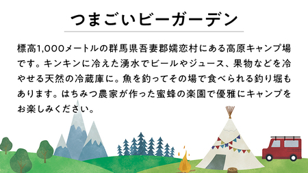 オートキャンプ 利用券 宿泊プラン ( 2名 ※ 小学生以下 無料 ) つまごいビーガーデン [AC007tu]