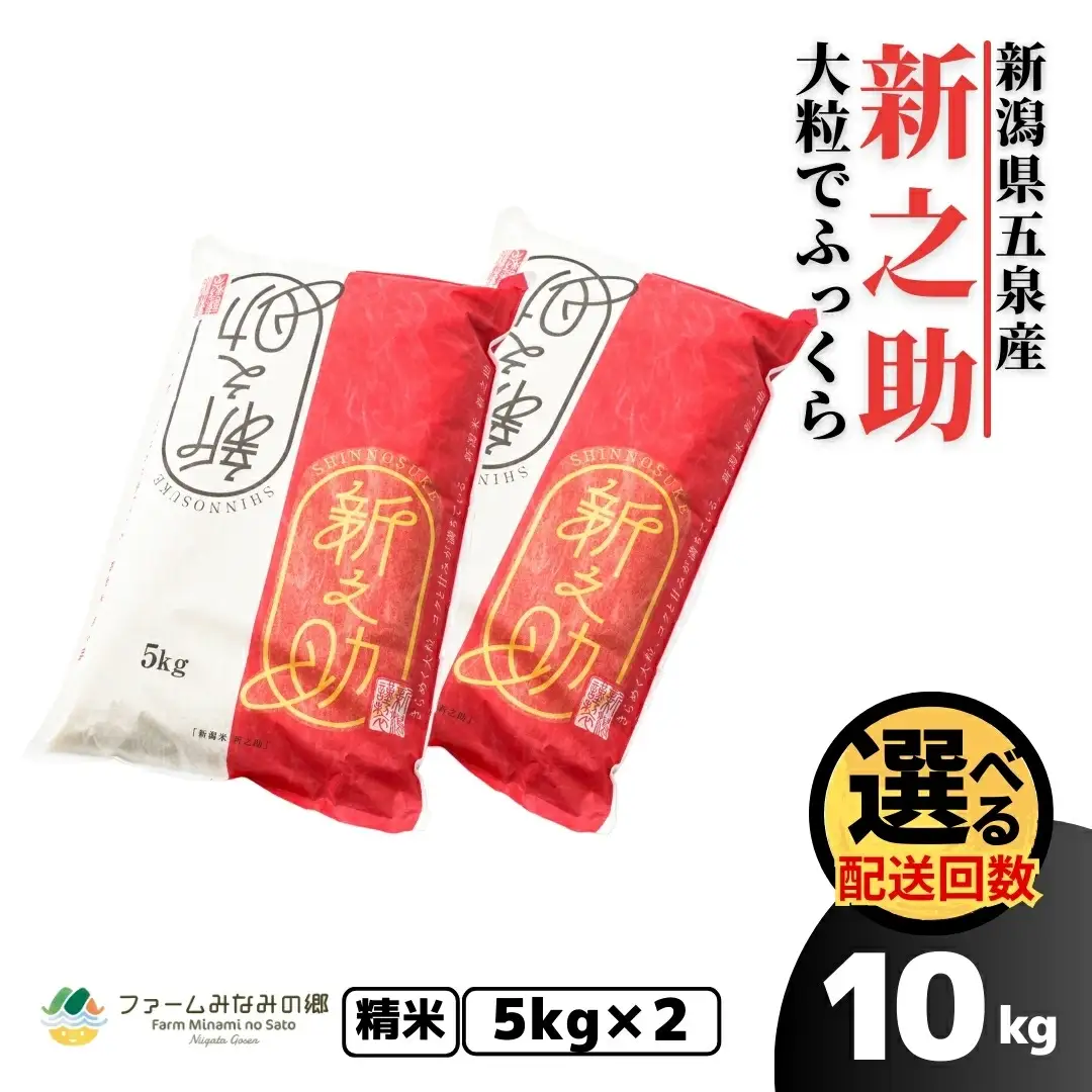 令和7年度産 新之助 精米 10kg（5kg×2袋）| 新潟県産 新之助