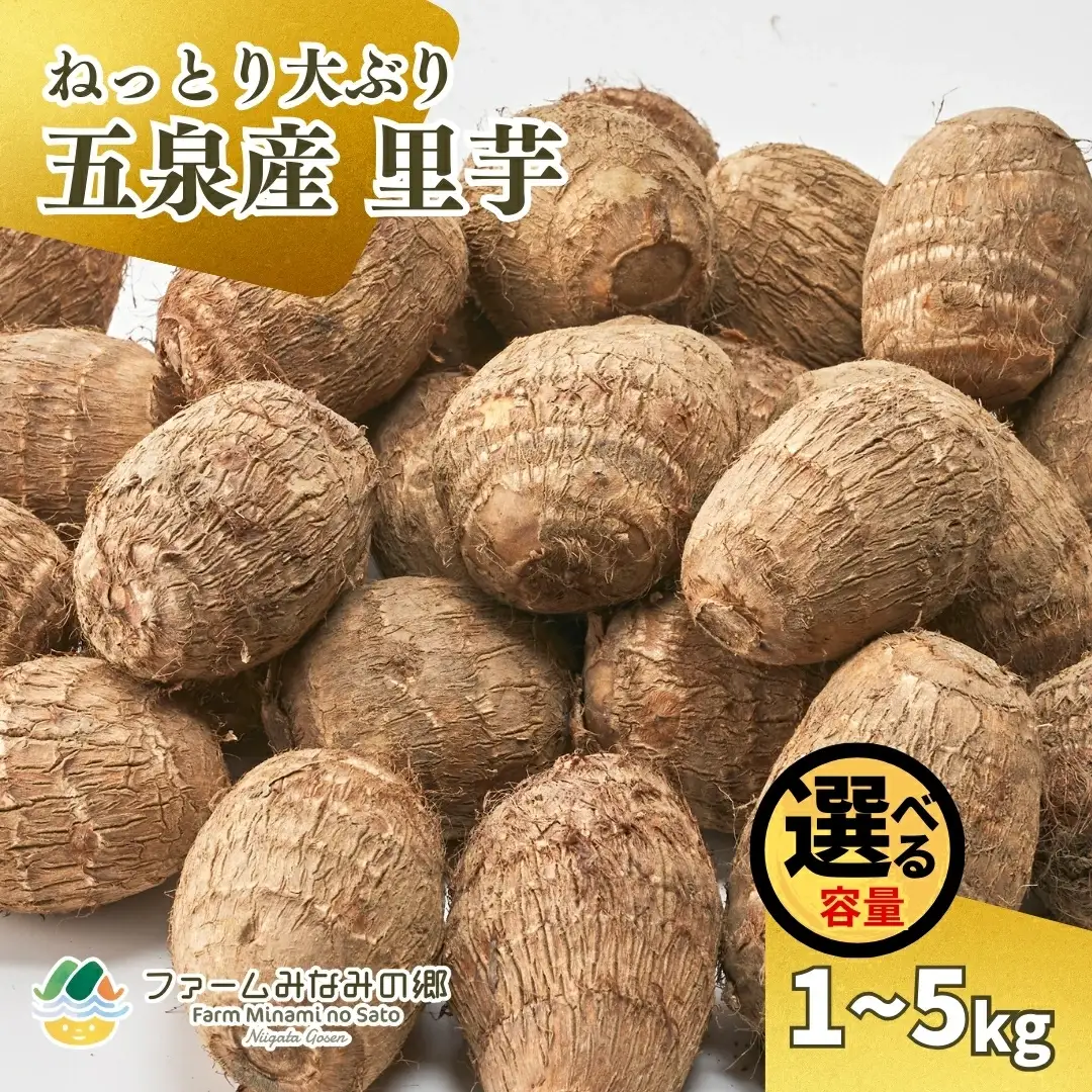 【令和8年産先行予約】五泉産 大玉さといも（2L以上）3kg | 新潟県 さといも 里芋