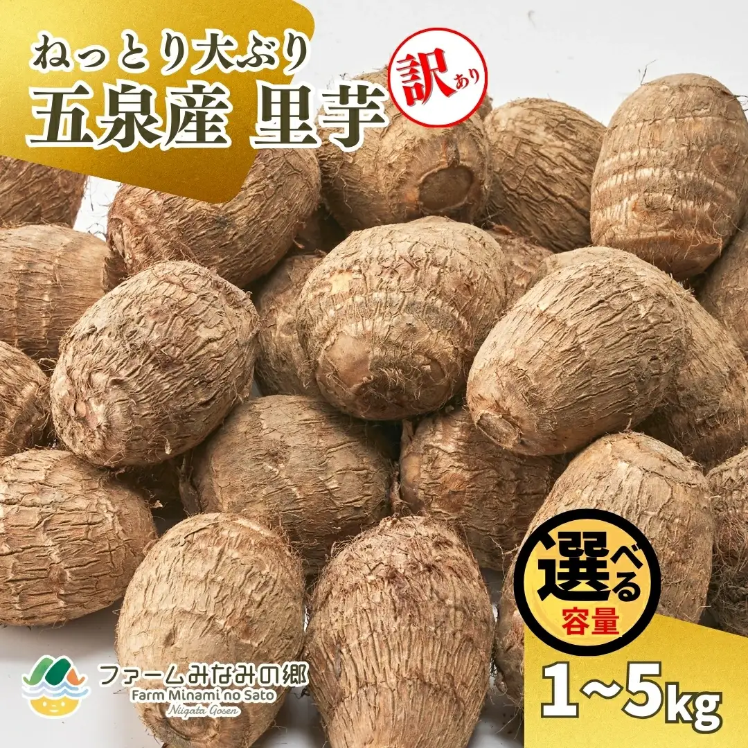 【令和8年産先行予約】五泉産【訳アリ】大玉さといも（2L以上）3kg | 新潟県 里芋