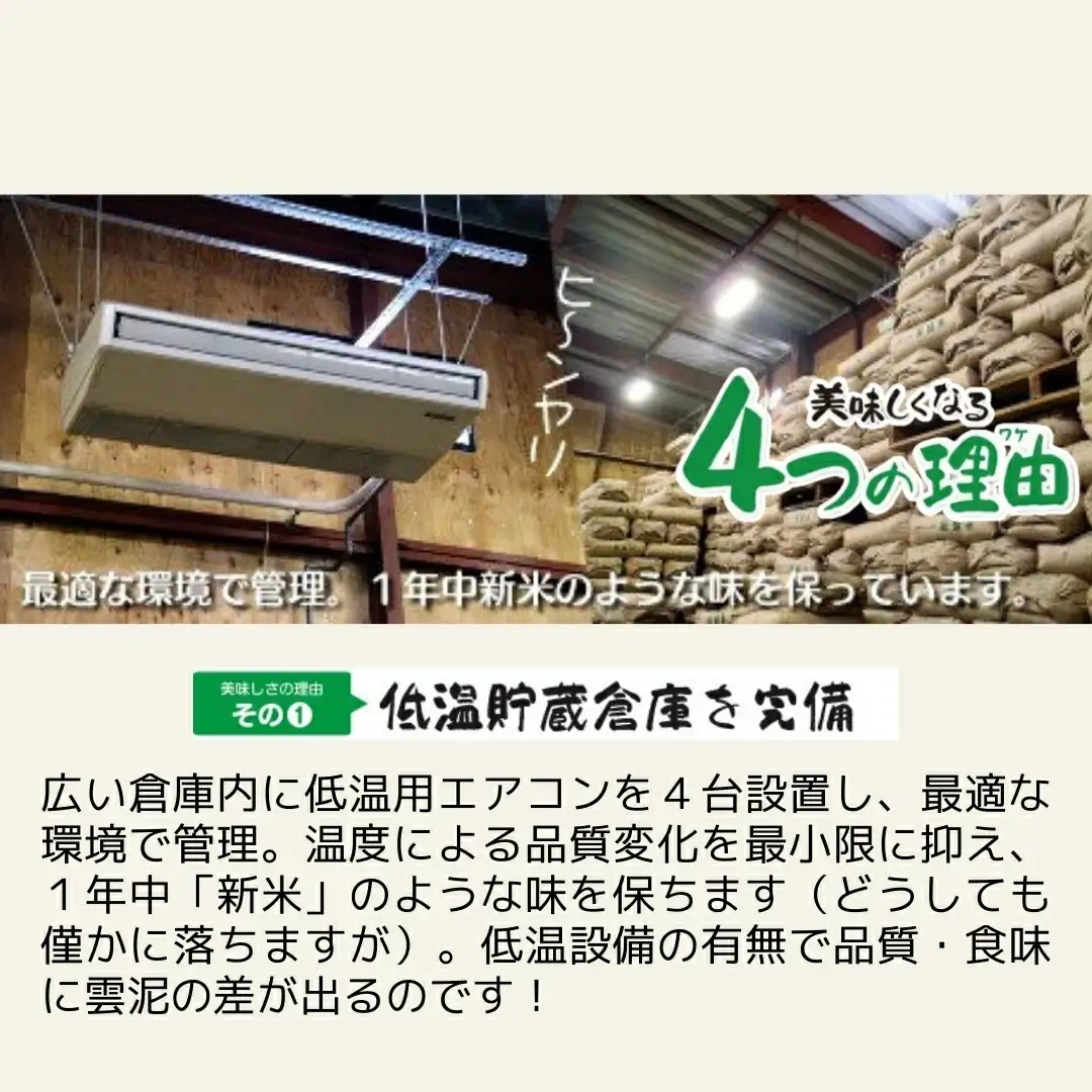 令和7年度産 コシヒカリ5kg×1袋 新之助5kg×1袋 わくわく農場