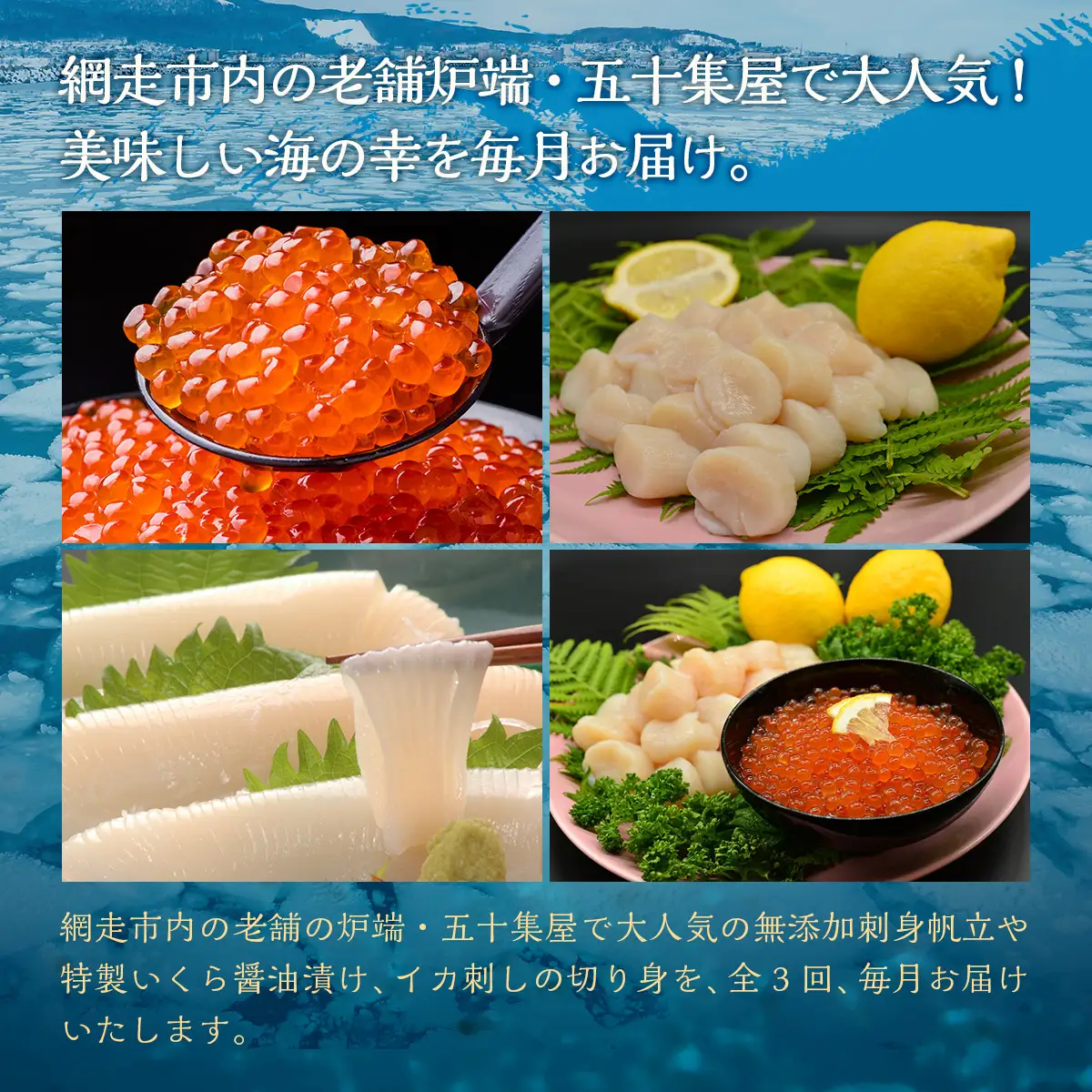 【毎月定期便】網走自慢の美味定期便(刺身帆立・いくら醤油漬け・イカ刺身)全3回 【 ホタテ ほたて 帆立 いくら イクラ いくら醤油漬 イクラ醤油漬 】 ABAO089