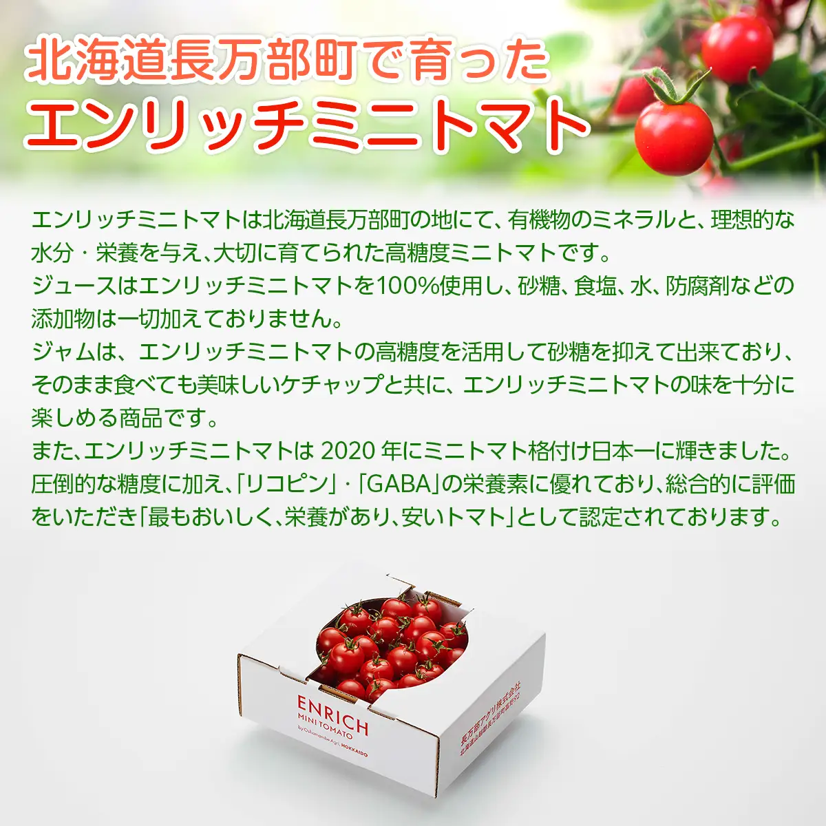 エンリッチミニトマト　ジュース・ジャム・ケチャップセット OSMN006 | トマトジュース