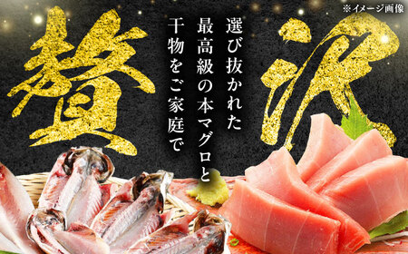 【全2回定期便】対馬産 本マグロ 中トロ300g ＆干物 新鮮 マグロ 鮪 [WAH031]