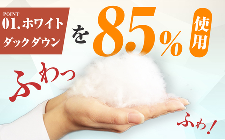 【春秋用】シングル掛け布団 羽毛0.7kg アイボリー / 布団[AFAO013]