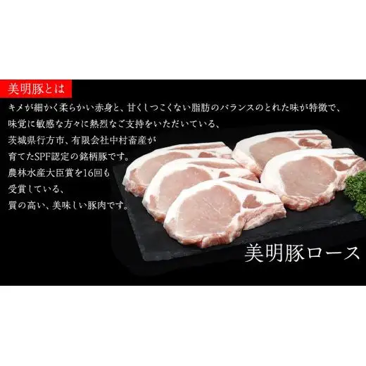 美明豚 × 常陸牛 最高の ステーキセット 約 1.35kg （美明豚ロース 120g ×5枚+常陸牛サーロイン 250g ×3枚）（茨城県共通返礼品：行方市）