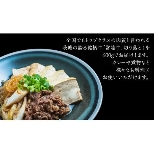 【 全3回 隔月 定期便 】常陸牛 切り落とし 約 600g （茨城県共通返礼品：行方市）