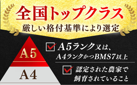 佐賀牛 しゃぶしゃぶ 食べくらべ セット C  計1kg [HAM077]黒毛和牛 牛肉 豚肉 しゃぶしゃぶ用 肉