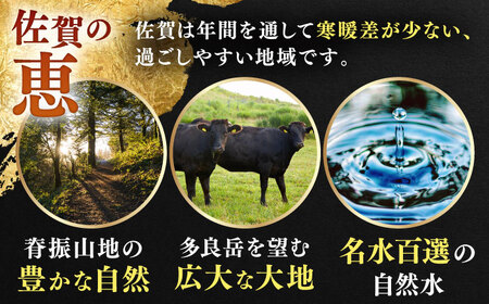 【全12回定期便】佐賀の肉 普段使いセット（佐賀牛・肥前さくらポーク） [HAM081]黒毛和牛 牛肉 豚肉 しゃぶしゃぶ用 肉