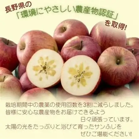 長野県の認証取得の美味しいサンふじ林檎10kg【1534439】
