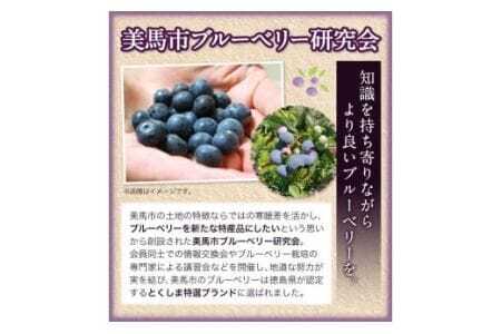 美馬の大粒 ブルーベリー