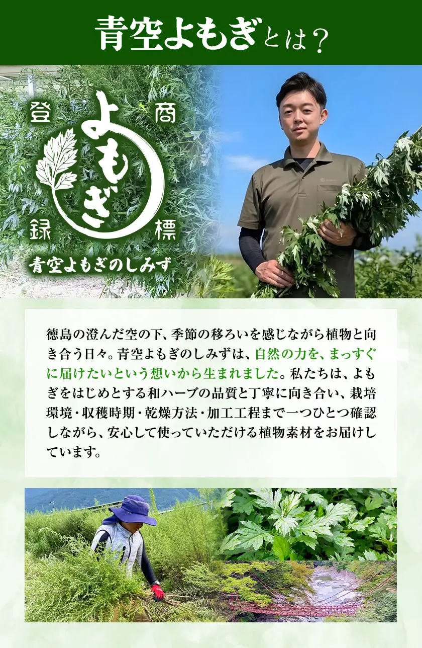 にし阿波産 よもぎのお風呂 25g×5パック 