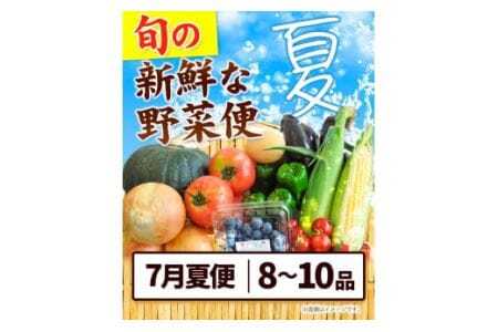 ＜先行予約＞ 旬の新鮮な 野菜便 7月夏便 8～10品  野菜