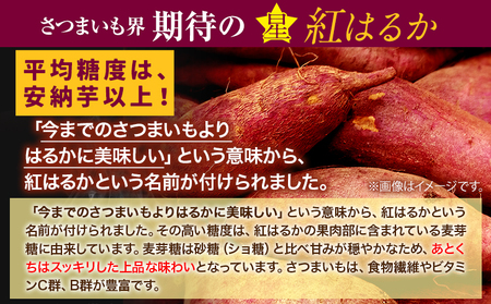 紅はるか干しいも1kg  