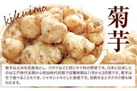 菊芋セット 合計300g アカイモ粉末 2袋 チップス 2袋