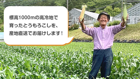 【 7月中旬発送開始 】 嬬恋産 とうもろこし ドルチェドリーム 約7kg（18～22本） [AT003tu]