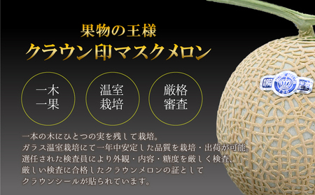 厳選 メロン クラウンメロン 山等級 1.4kg以上 2玉 フルーツ 果物