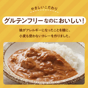 レトルトカレー 定期便 グルテンフリー バターチキンカレー 180g×2袋毎月×10回コース N-11