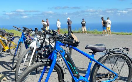 【隠岐世界ユネスコジオパーク】ガイド付き知夫里島ジオツアー（E-bike） ｜体験1回｜2名様分 観光 旅行 絶景 自然 赤壁 赤ハゲ山 海 知夫里島 離島 牛 たぬき