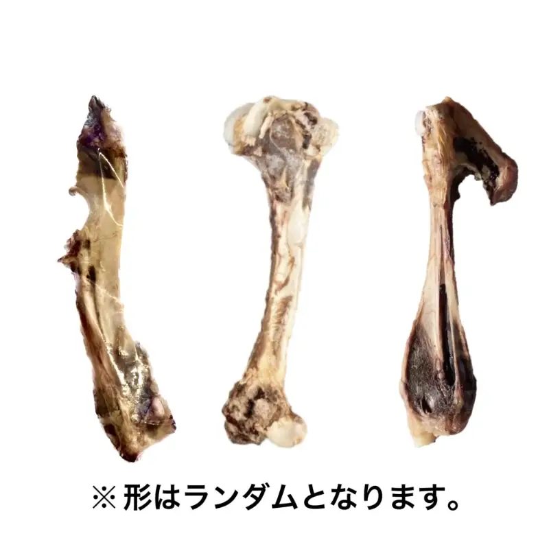 ペットフード研究所 国産無添加 猪骨セット 6個セット(各3個)肩甲骨・足骨【087D-052】