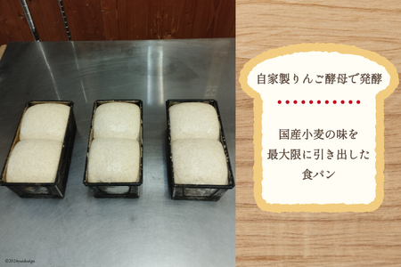 【パリもち！】窯焼き 石臼挽き 全粒粉食パン 1本 8枚切 [しぜん酵母と石窯ぱん　bungaーぶんがー 長野県 池田町 48110768]
