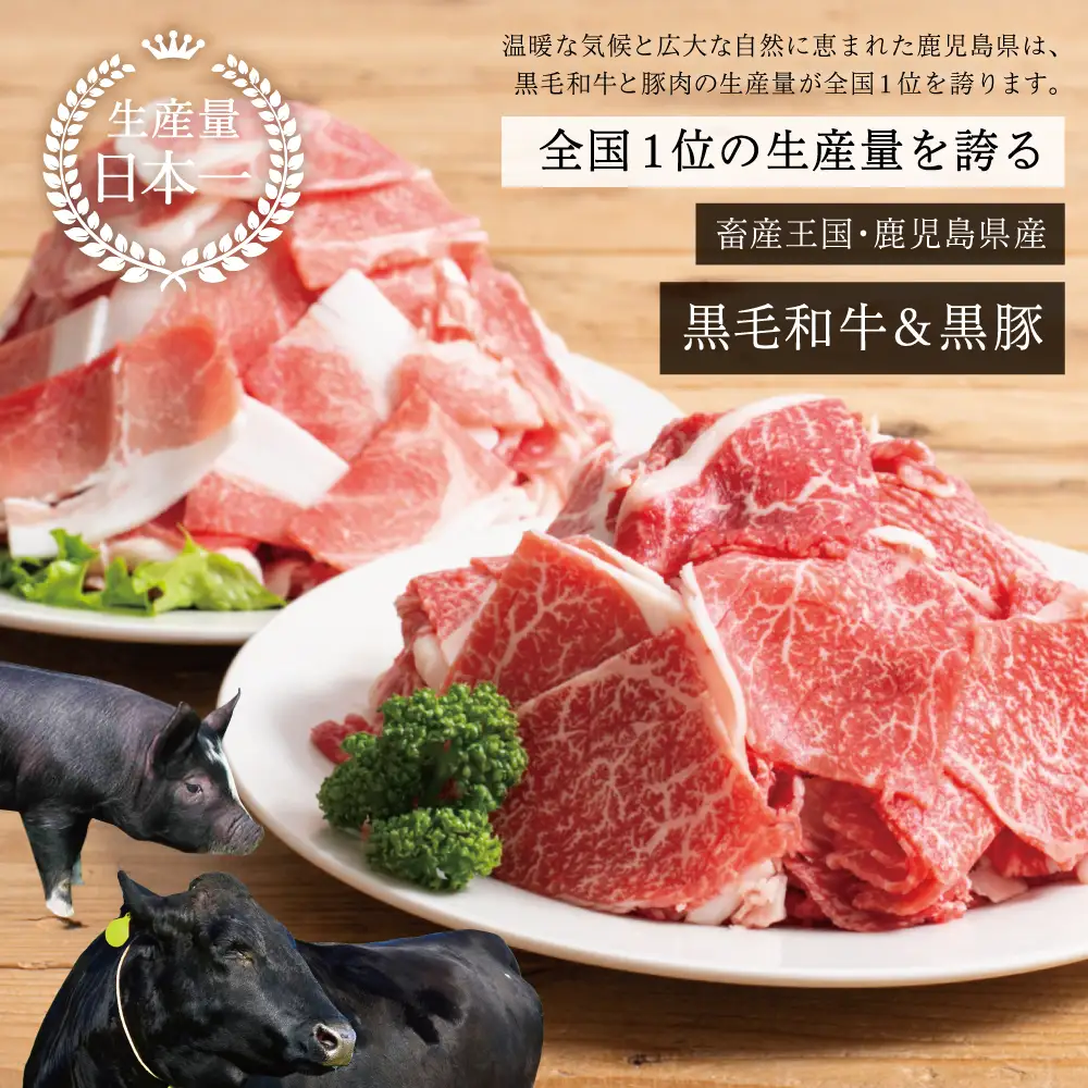【モリモリ定期便】鹿児島県産黒毛和牛＆黒豚 切落し定期便（全5回）牛丼 肉じゃが カレー 炒め物 国産 お肉 定期便 冷凍 小分け 和牛もも肉 スターゼン