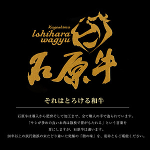 石原牛のサーロインスライス(500g)(数量限定) 石原牛 赤身 サーロイン スライス 国産 牛 ウシ 牛肉 すき焼き 焼きしゃぶ しゃぶしゃぶ 鍋 ビーフ 冷凍【石原PRO】ishihara-7090