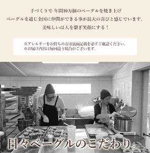 日々ベーグル10種セット