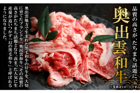 全国大会W受賞！奥出雲和牛切り落し400g（みんなで美味しいを楽しむ！奥出雲和牛） 【切り落とし 切り落し 切落し 牛肉 冷蔵 黒毛和牛 400g】