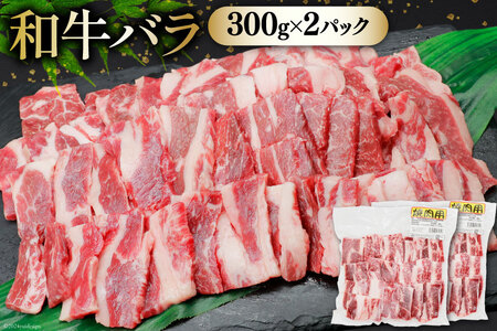 肉 セット バーベキュー 宮崎県産 牛 豚 1.8kg [甲斐精肉店 宮崎県 美郷町 31as0119]