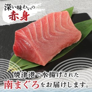 a10-430　焼津港水揚げ ・南まぐろ