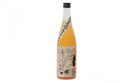 備長炭梅酒 720ml 13度 / 和歌山 田辺市 紀州南高梅 南高梅 梅 梅酒 ロック ソーダ割り ギフト 家飲み 酒 お酒 水割り ギフト プレゼント 富田の水 モンドセレクション 備長炭 ばばあの梅酒【dnm004】