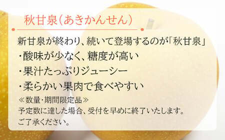 プレミアム秋甘泉　3kg前後【梨 秋甘泉 あきかんせん 3kg 先行予約 期間限定 数量限定 なし ナシ 果物 くだもの フルーツ 旬 厳選 プレミアム 高糖度 甘い 贈り物 ギフト お取り寄せ 産地直送 鳥取県】