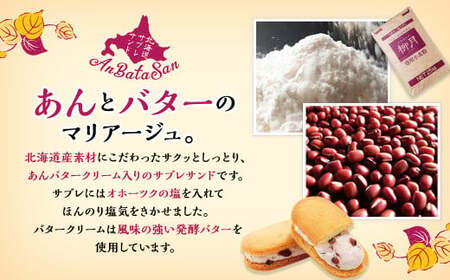 「柳月」あんバタサン12個セット【B77】 お菓子 あんバター