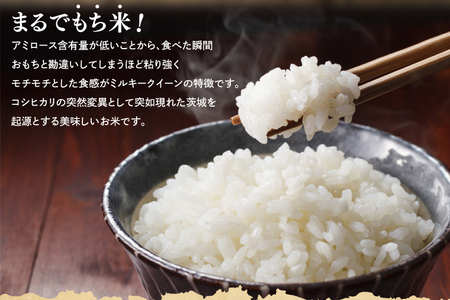 【精米】 ミルキークイーン 5kg 令和7年産 白米