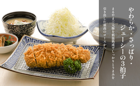 ロースかつとヒレかつ合盛セット【3～4人前】