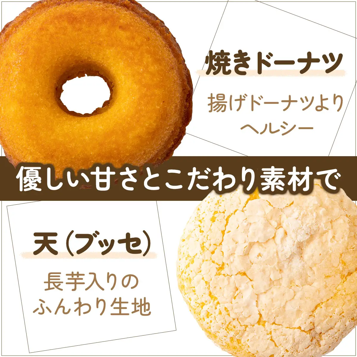 焼きドーナツ8種＋天（ブッセ）2個セット【詰め合わせ お菓子 おかし 焼き菓子 個包装 化粧箱 バター クリーム スイーツ デザート おやつ 長芋 手土産 ギフト 贈り物 青森県 七戸町】【02402-0313】