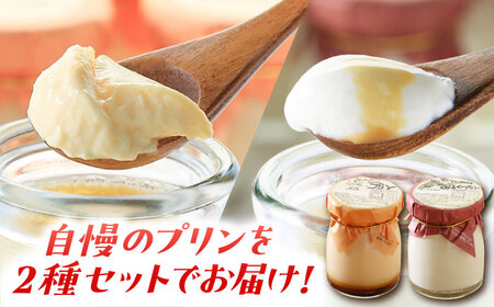 【3回定期便】シュシュプリンとジャージーみるくプリンセット 10個/月（計30個）/ プリン スイーツ ミルク ジャージ～牛乳 /  大村市 / おおむら夢ファームシュシュ [ACAA320]