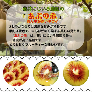 【先行予約】赤いキウイ あぶの赤 約490g 希少品種 極甘 山口県 阿武町産 国産 フルーツ《2026年10月中旬～2027年1月下旬発送》　
