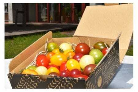 10回定期便 【剣淵町産】 けんぶち定期便 [けんぶちVIVAマルシェ 北海道 剣淵町 14656275]