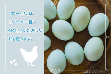 平飼いのアローカナ卵 10個 [ら ぷち ふぁみ～ゆ 北海道 剣淵町 14656182]