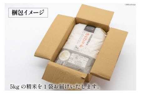 米 令和7年 ゆめぴりか 5kg [けんぶちVIVAマルシェ 北海道 剣淵町 14656305]