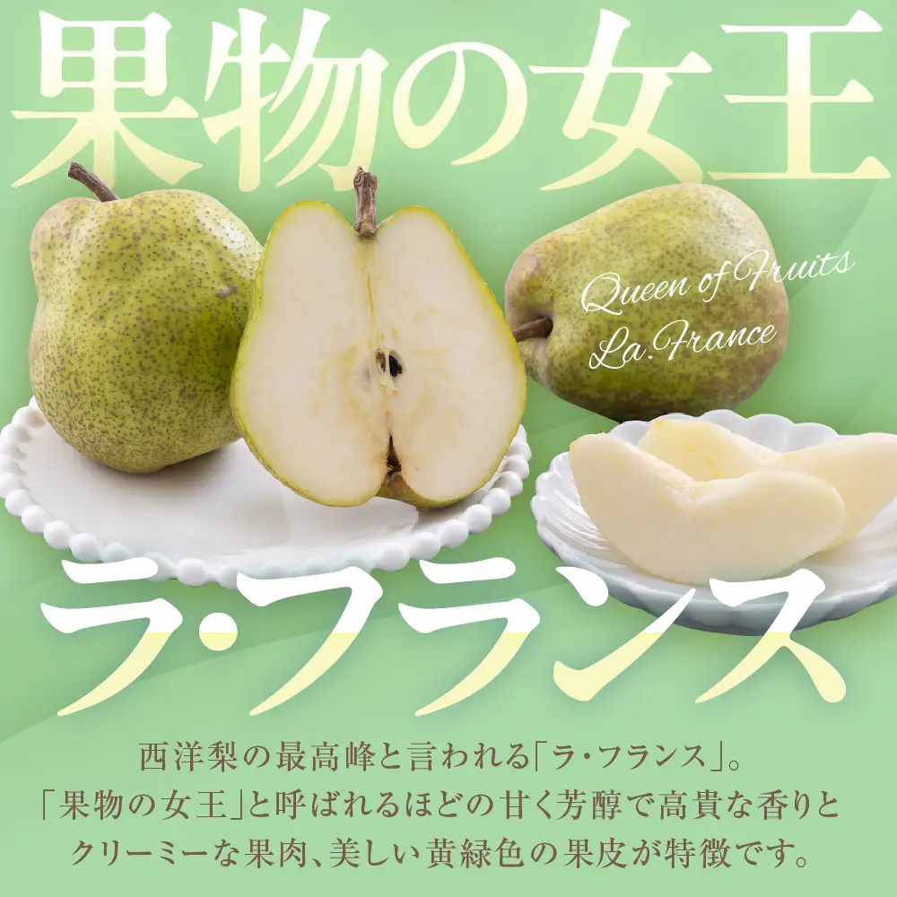 2026年産 山形セレクション ラ・フランス 5kg ラフランス