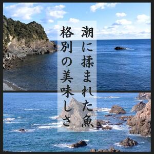 干物 5種 旬 おまかせ おたのしみ お楽しみ 産地直送 ひもの セット 干物セット 人気 詰め合わせ おかず お取り寄せ 朝食 ご飯 や 米 に合う 老舗 角助屋 伊勢 志摩市 三重県 15000円 1万5000円 一万五千円 / 干物職人が選ぶ朝獲れ魚の干物 五種セット