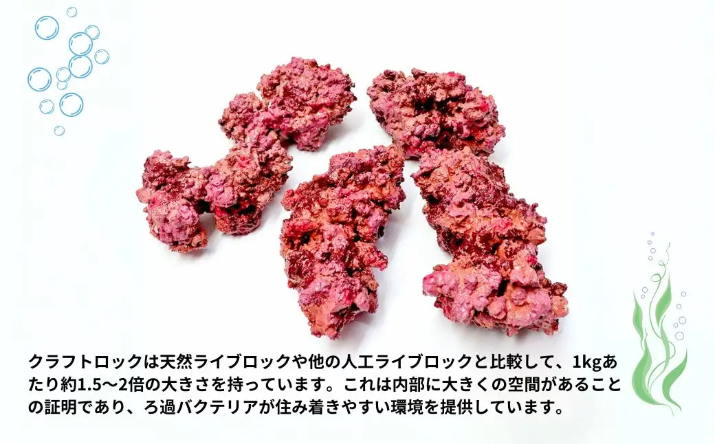 【養殖】クラフトロック | 水槽 新潟県 出雲崎町